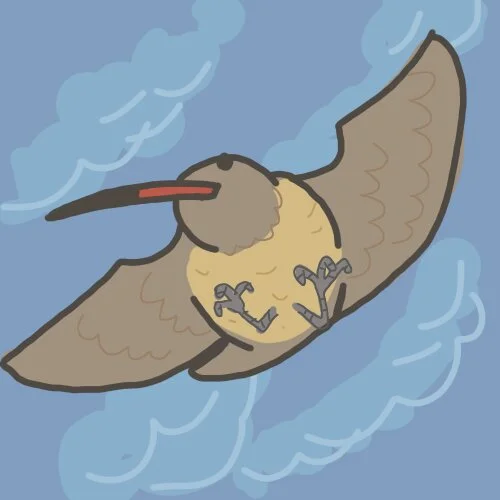 American Woodcock