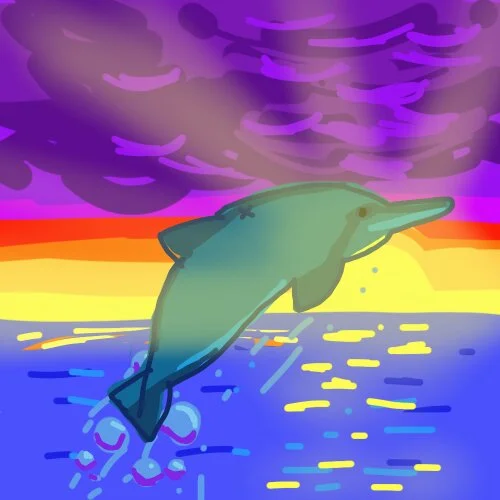 Short Snouted Spinner Dolphin