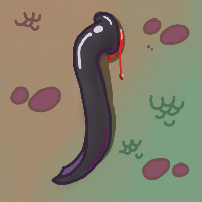 Sea Lamprey
