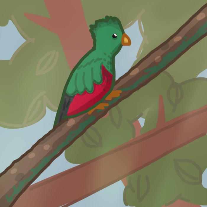 Quetzal