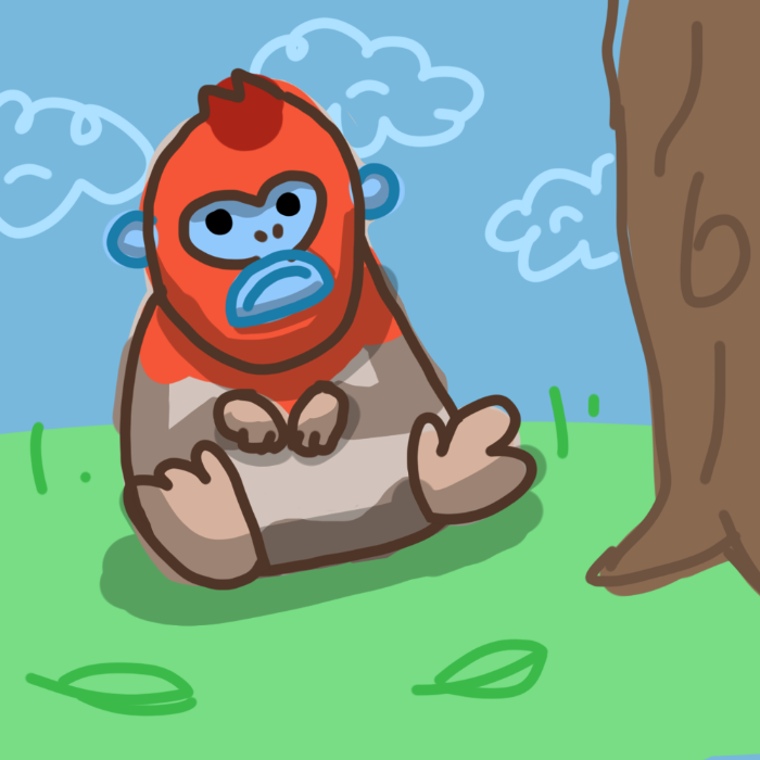 Golden Snub Nosed Monkey
