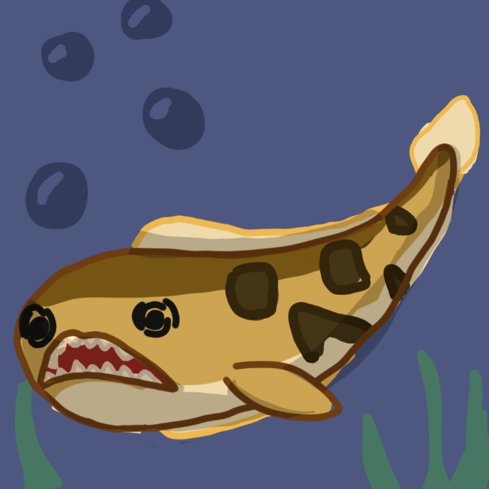 Northern Snakehead Fish