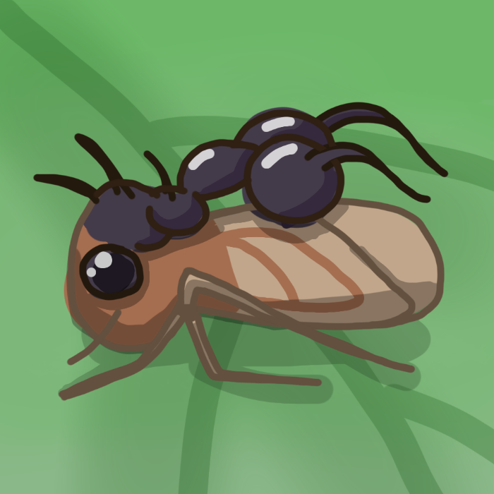 Ant Mimicking Treehopper
