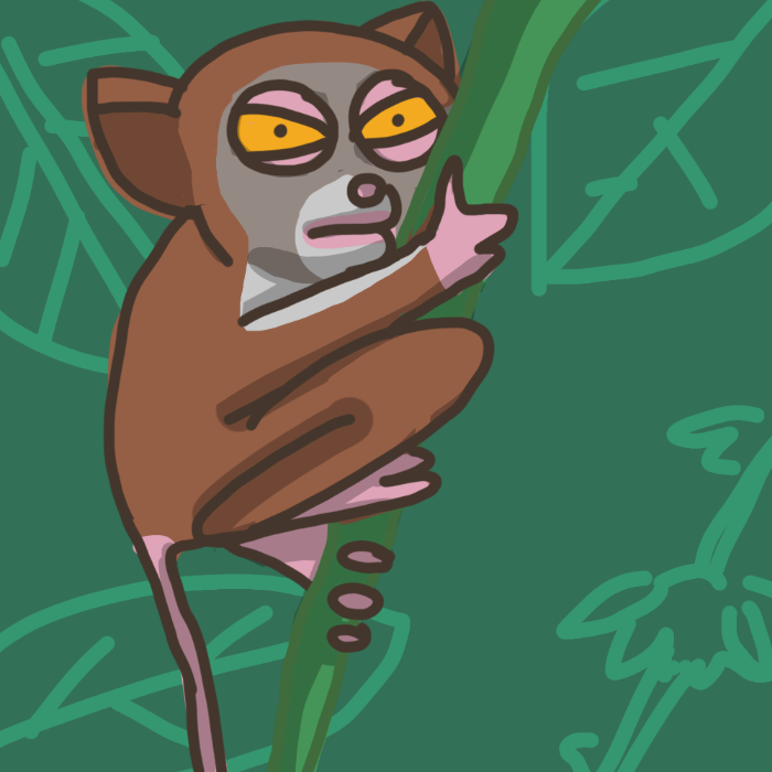 Philippine Tarsier