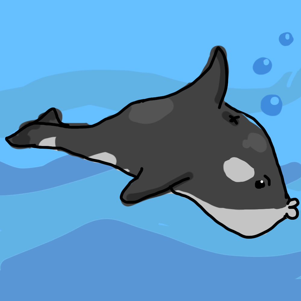 Killer Whale