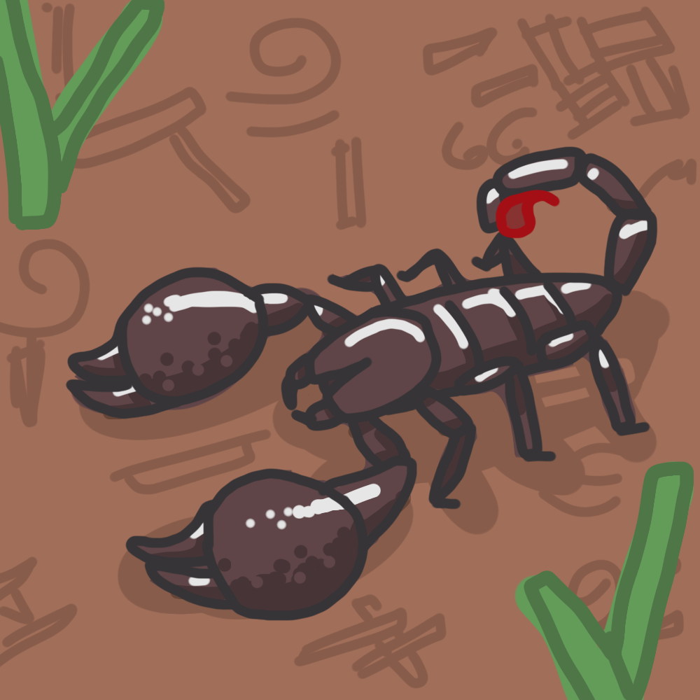 Emperor Scorpion
