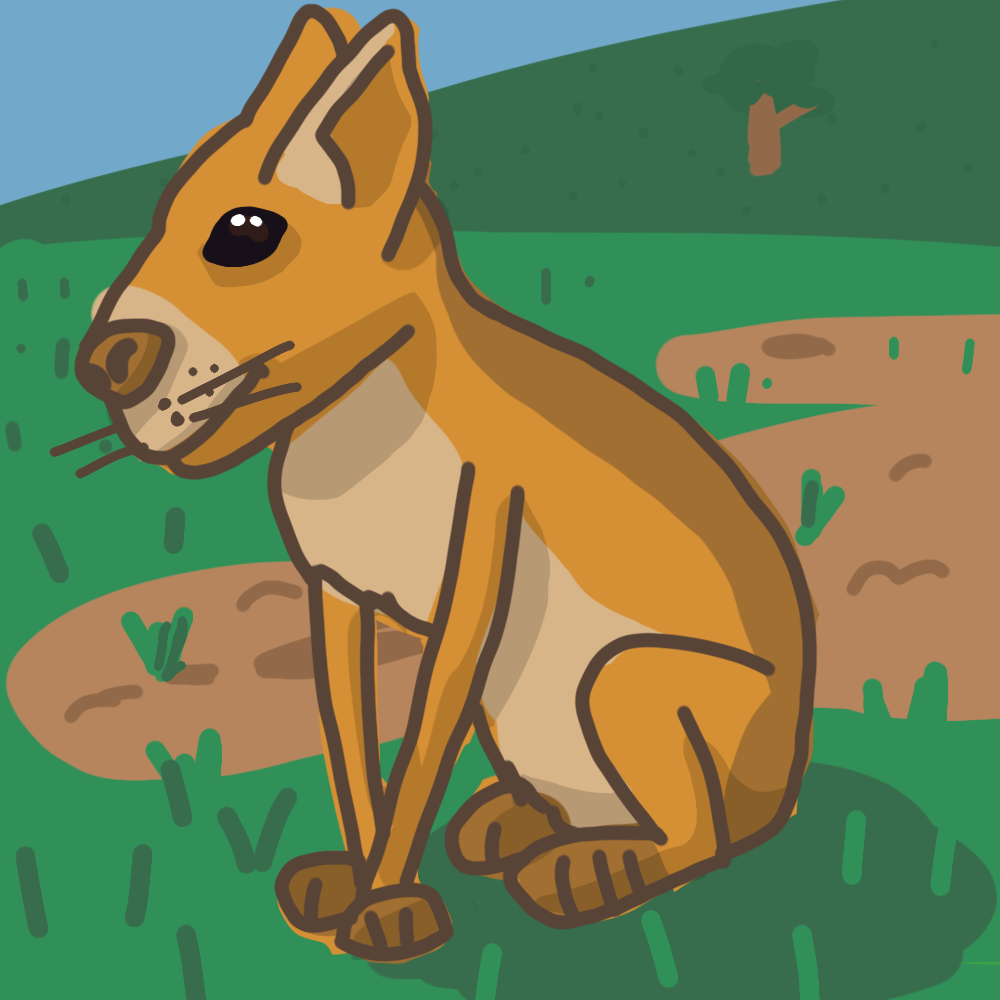 Patagonian Mara