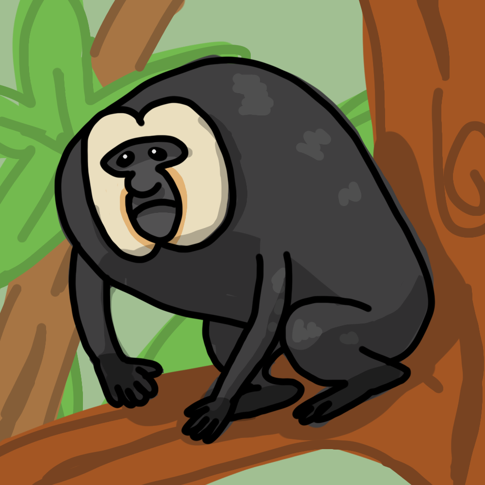 Saki Monkey