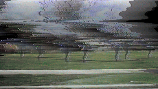 Adobe Express 2025-02-07 14.22.29.gif