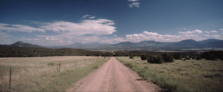 Adobe Express 2025-03-27 07.53.37.gif