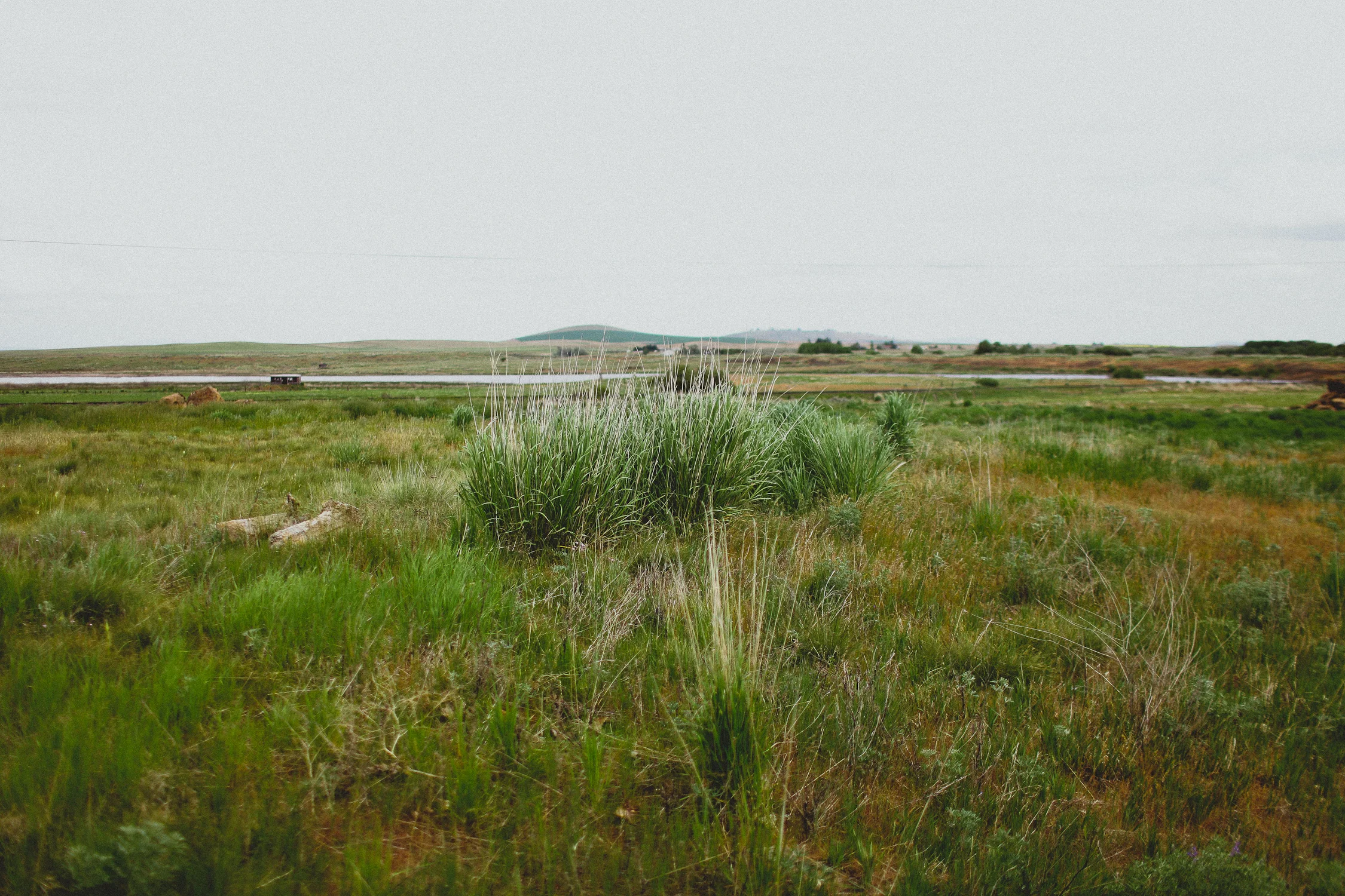 Outside Reardan, Washington.