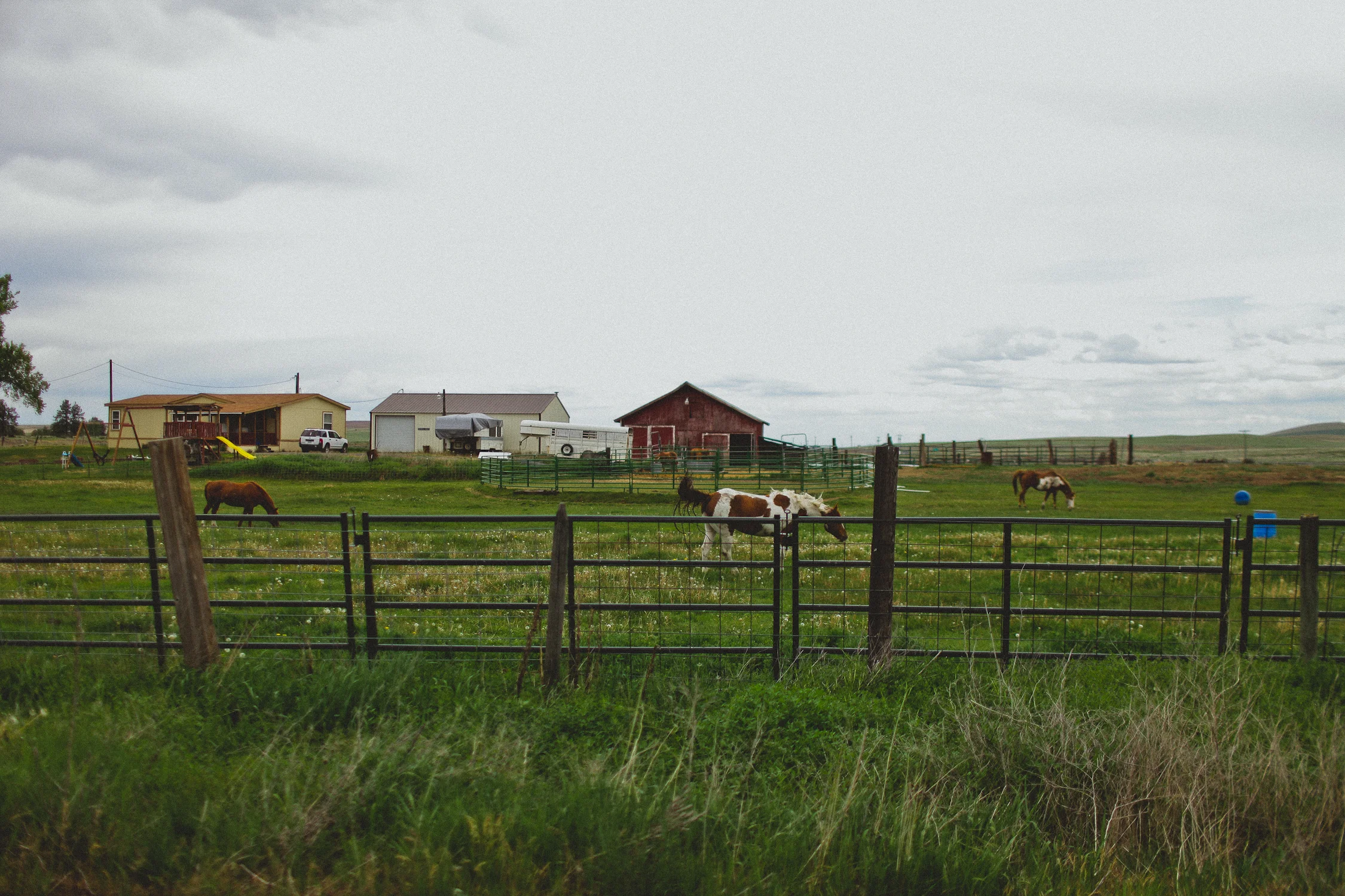 Reardan, Washington.