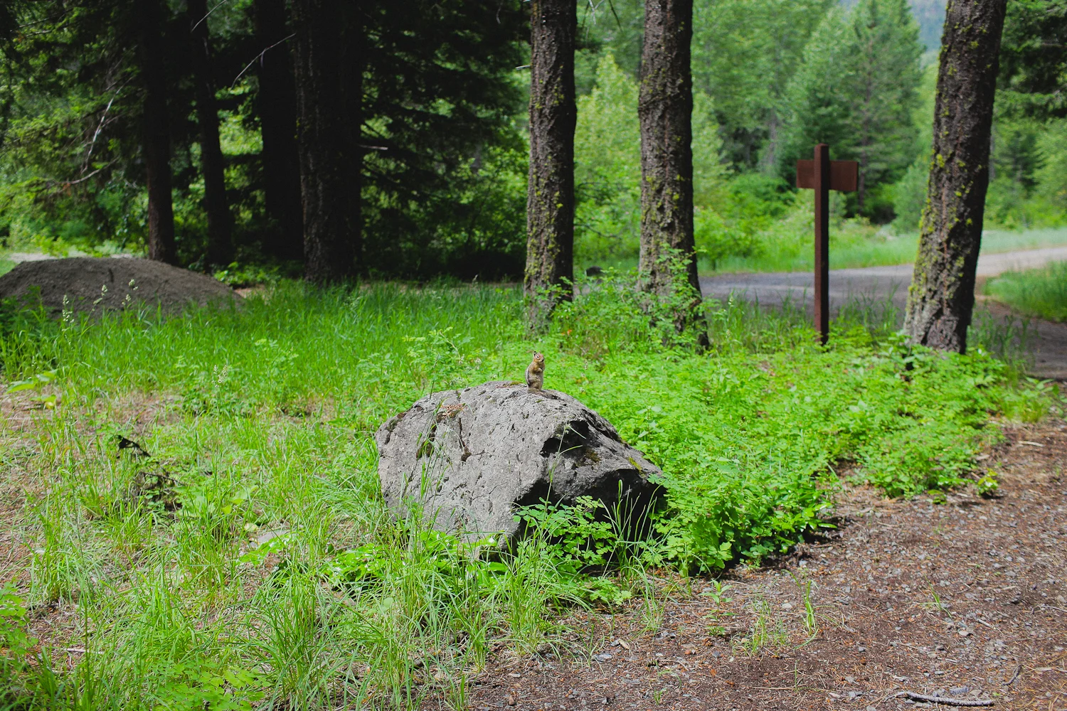 methow-35.jpg