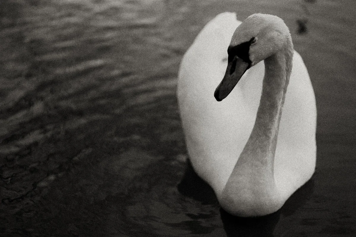 2012-04-14 at 18-18-53, nature.jpg