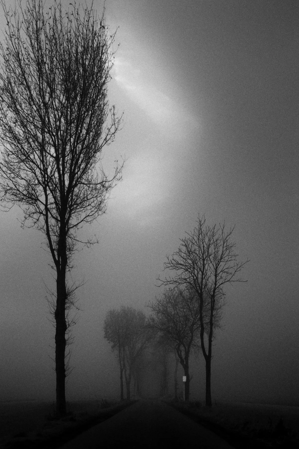 2010-11-16 at 08-57-57, nature.jpg