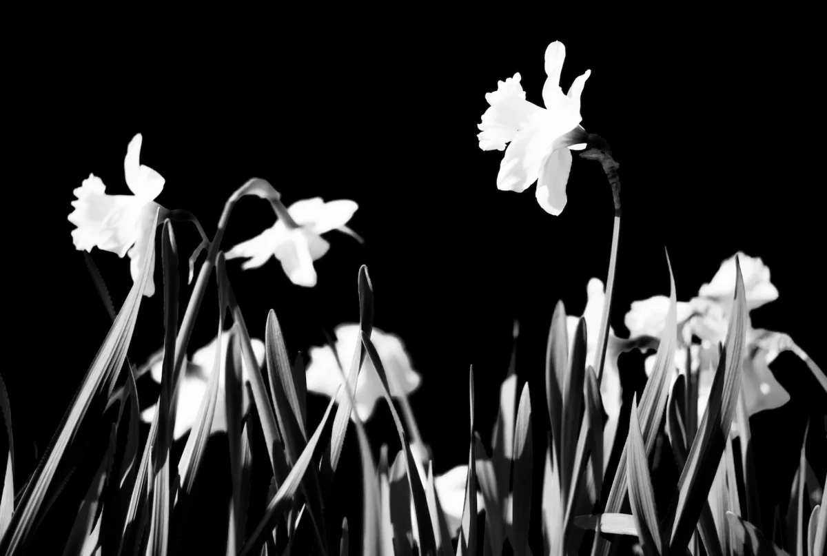 2010-04-25 at 08-25-45, nature.jpg
