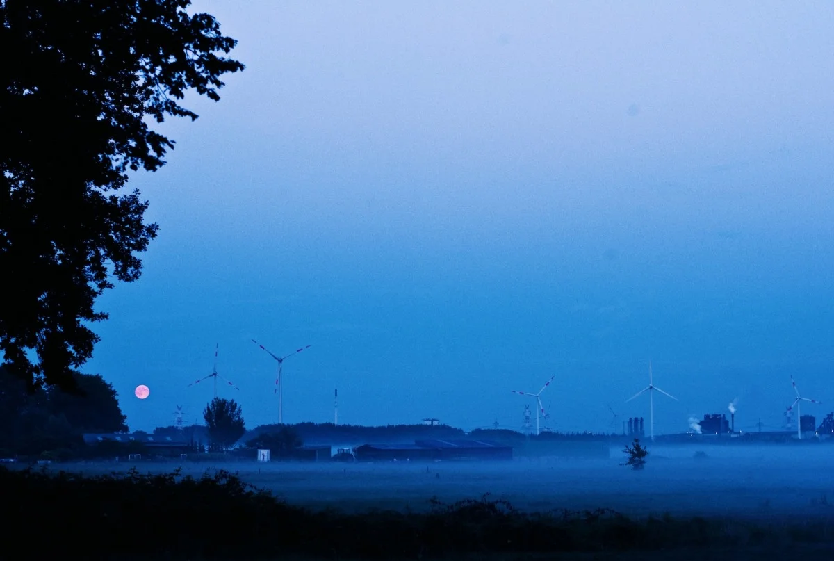2010-07-26 at 09-42-19, nature.jpg