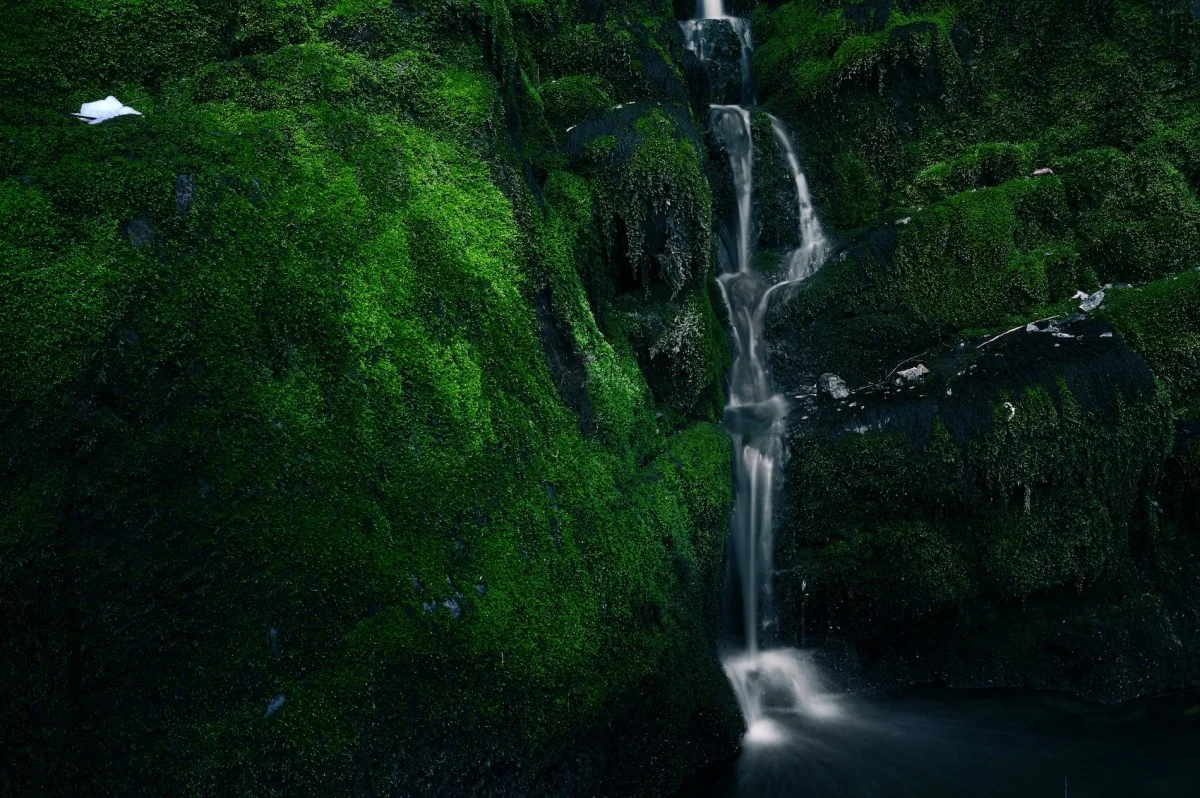 2011-03-06 at 13-26-21, nature.jpg