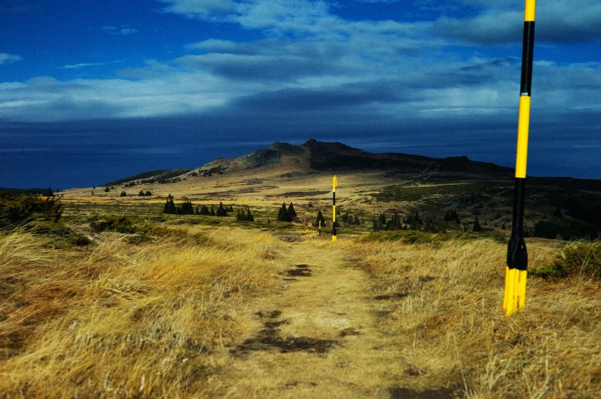 2011-12-04 at 11-01-04, nature.jpg