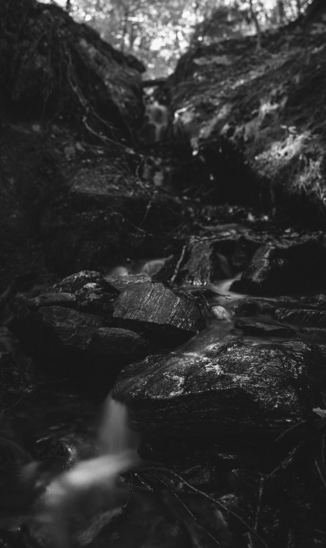 2013-08-15 at 00-00-00, nature.jpeg