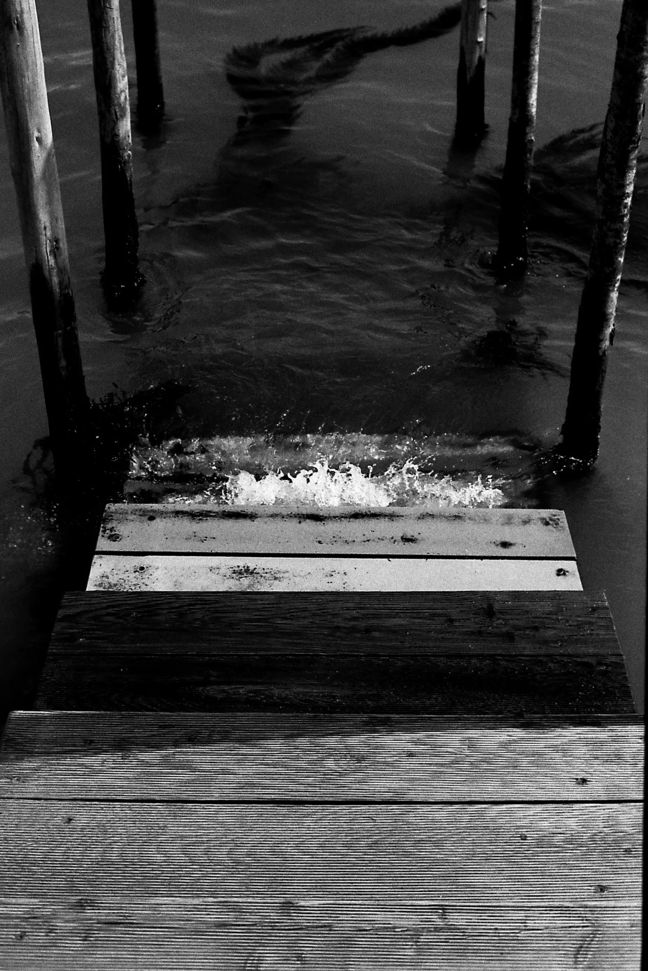 2013-05-22 at 12-03-41, street film venice.jpg