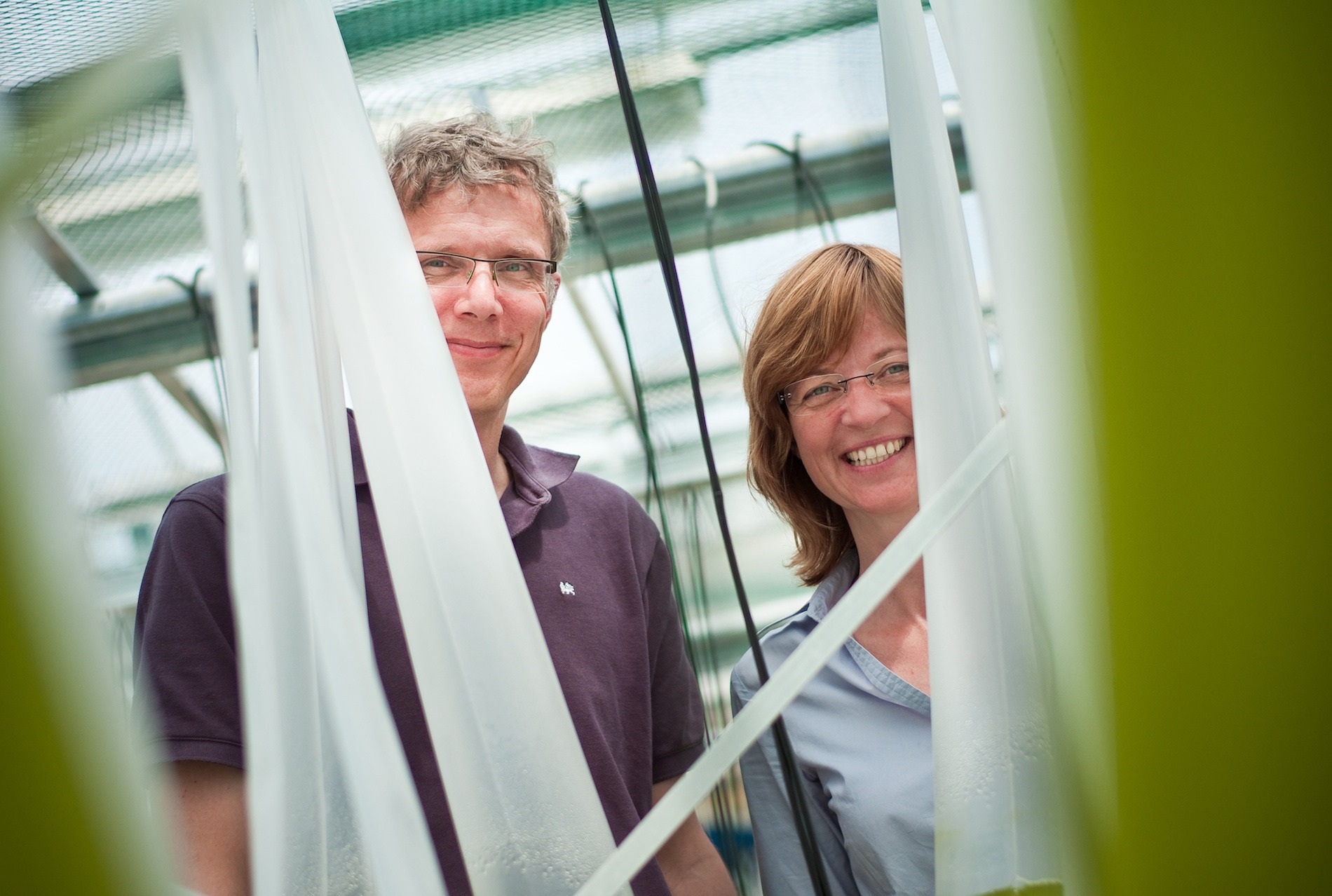 The future of fuels - Phytolutions