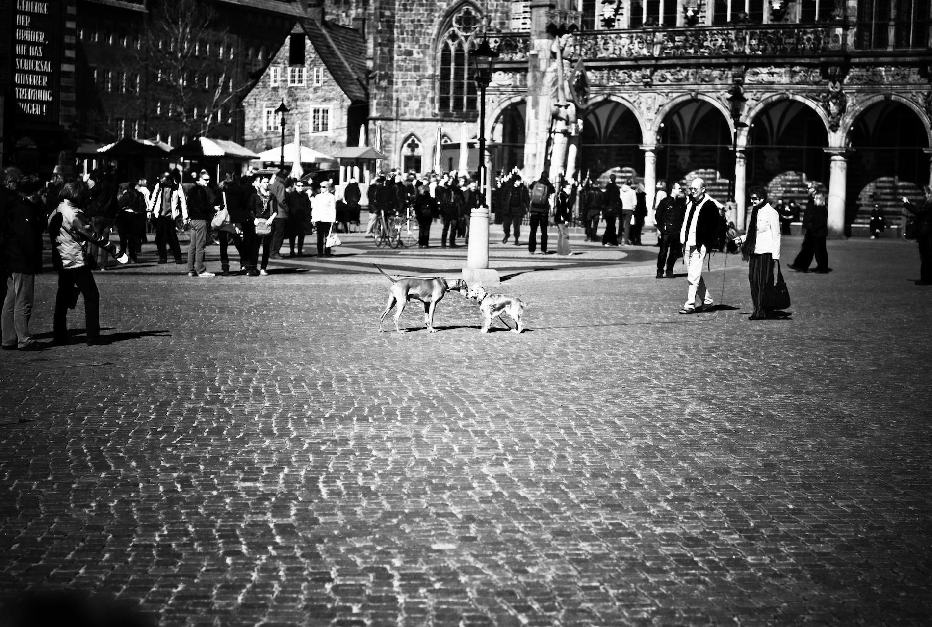 2010-04-02 at 13-40-38, street.jpg