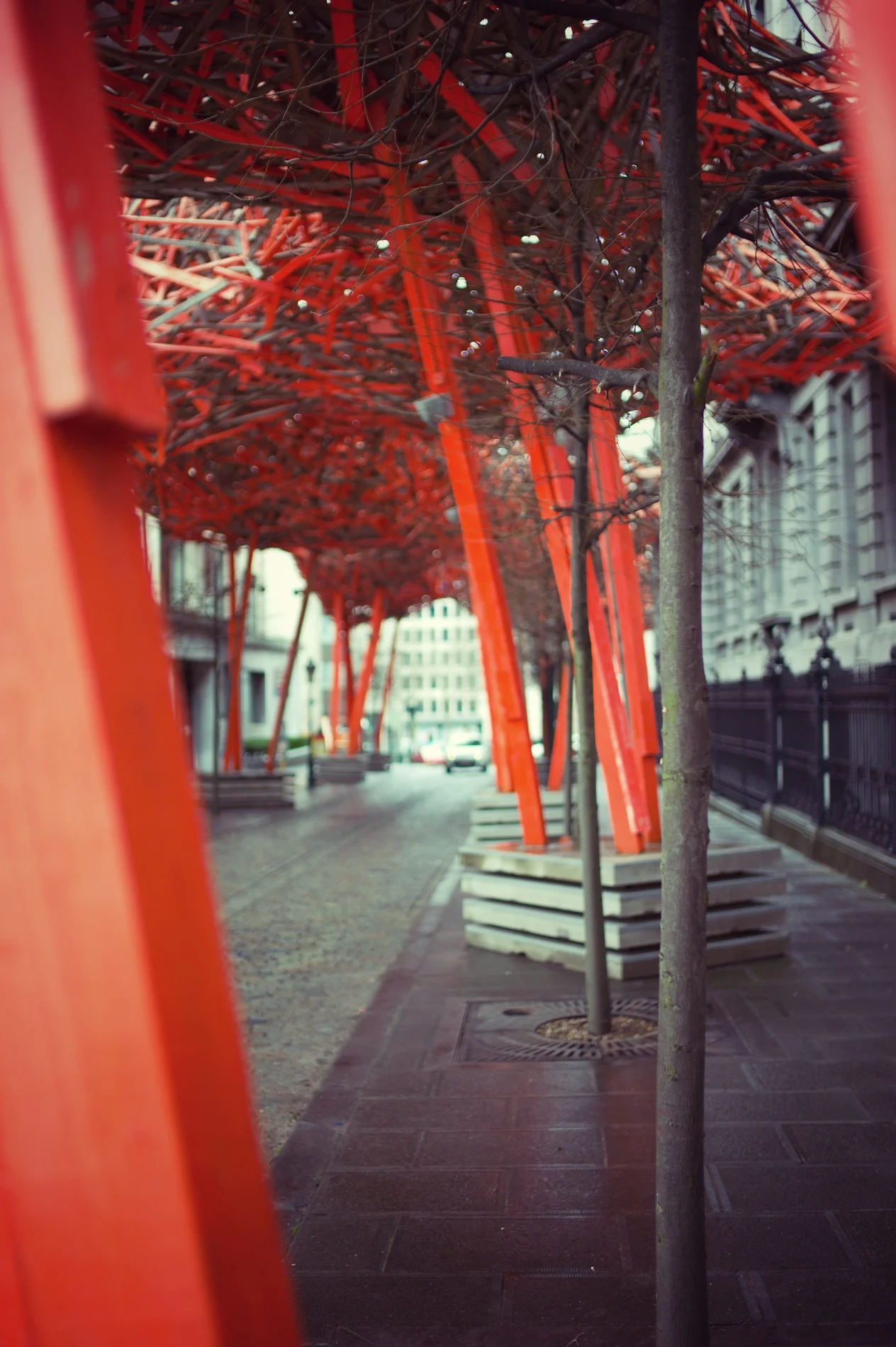 2012-01-21 at 12-23-17, architecture.jpg