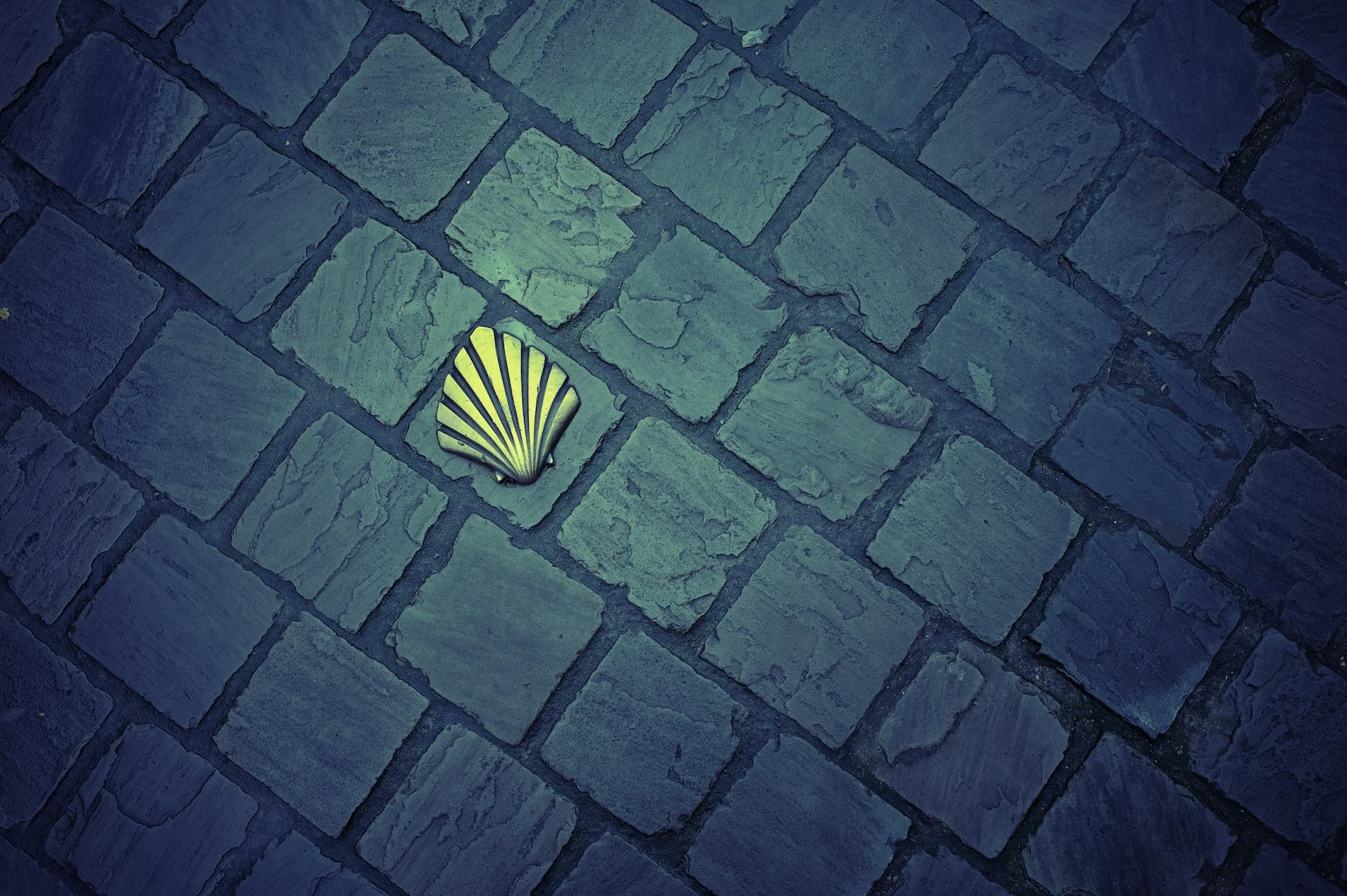 2012-01-21 at 12-15-21, pattern.jpg