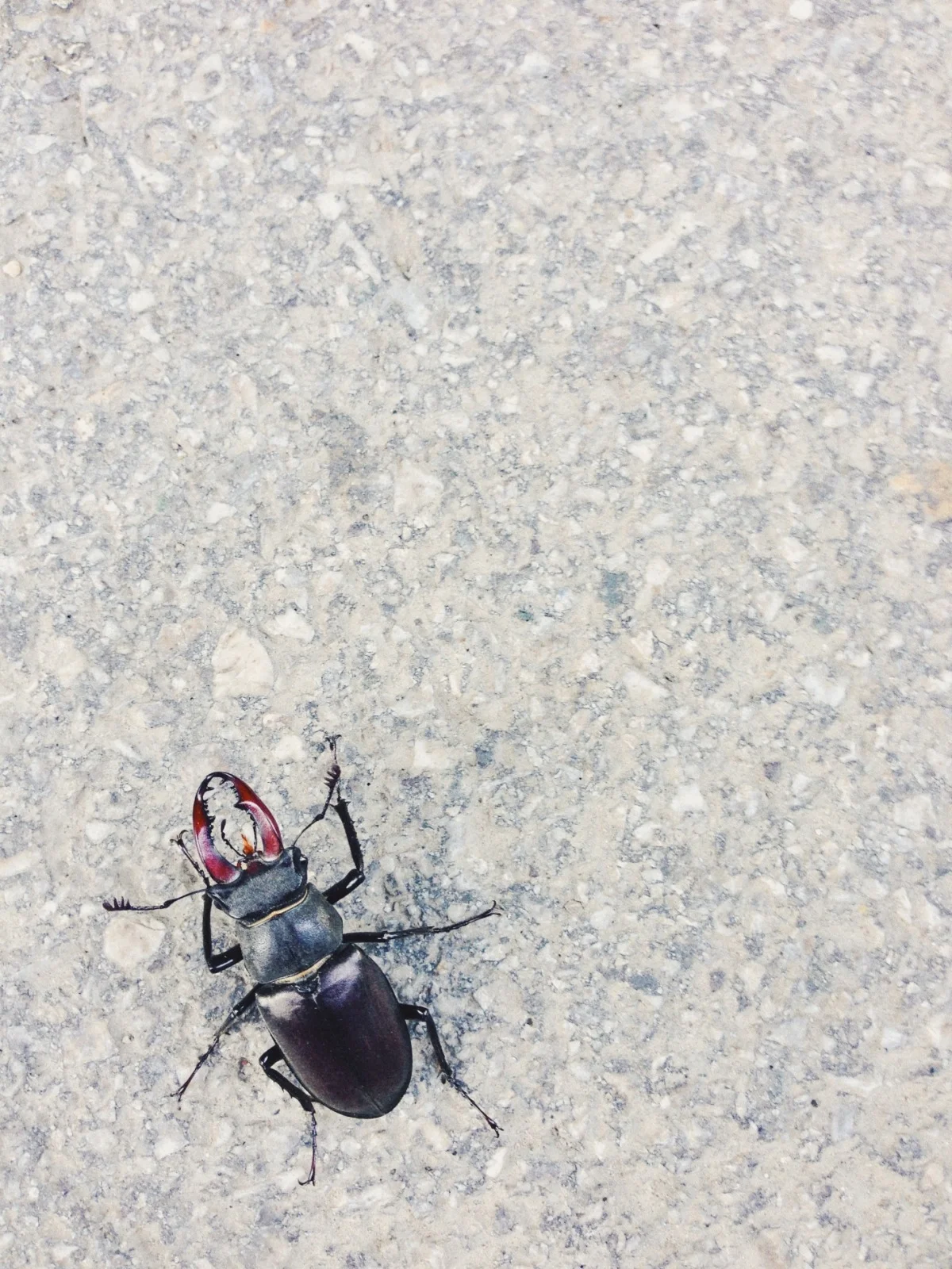 2013-06-21 at 07-16-41, iphone.jpg