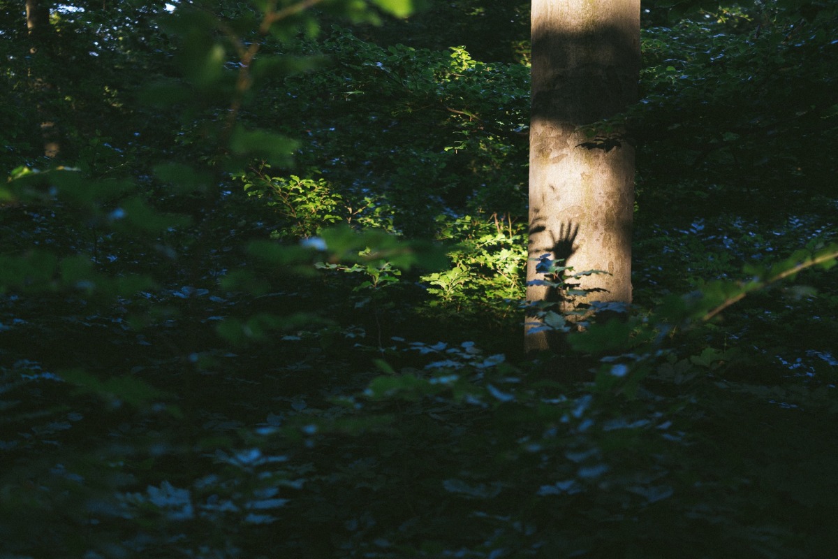 2013-06-18 at 06-59-25, nature.jpg