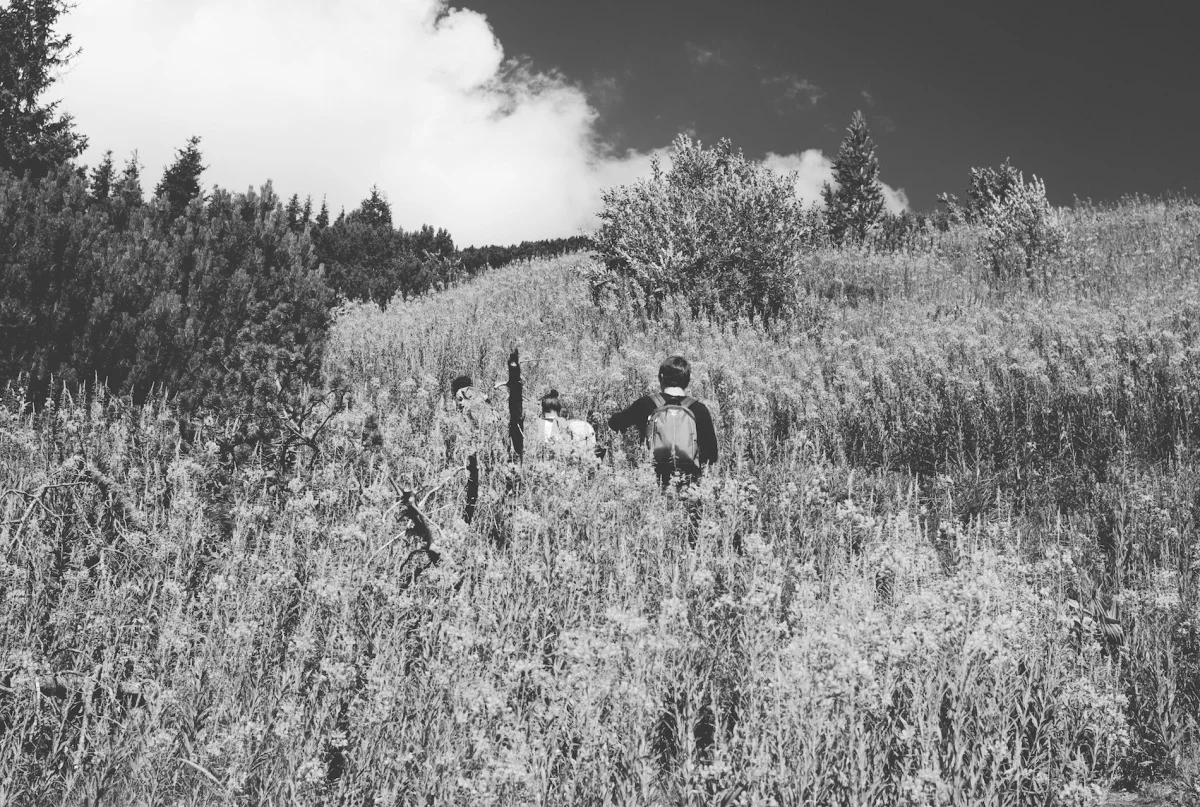 2012-07-26 at 10-52-23, musala.jpg