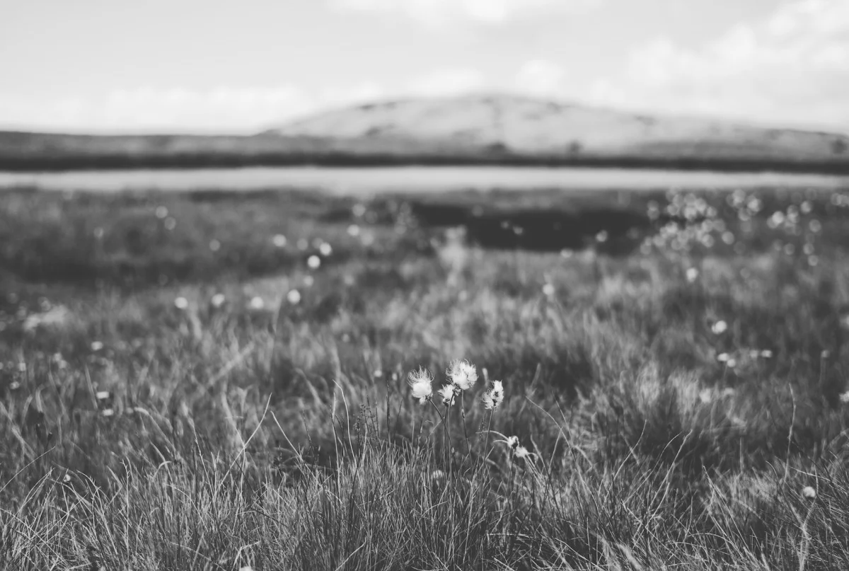 2012-07-26 at 12-21-06, musala.jpg
