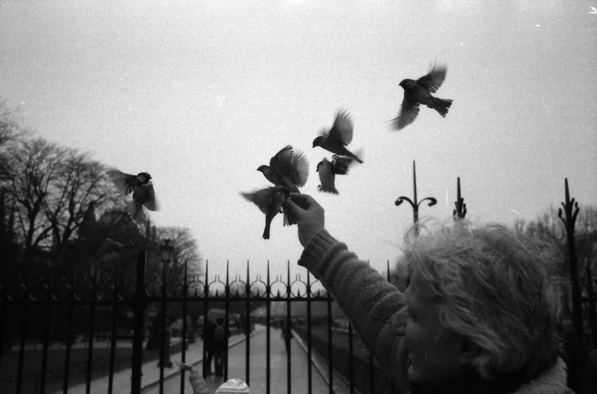 Streets of Paris, April 2013, film  064.jpg