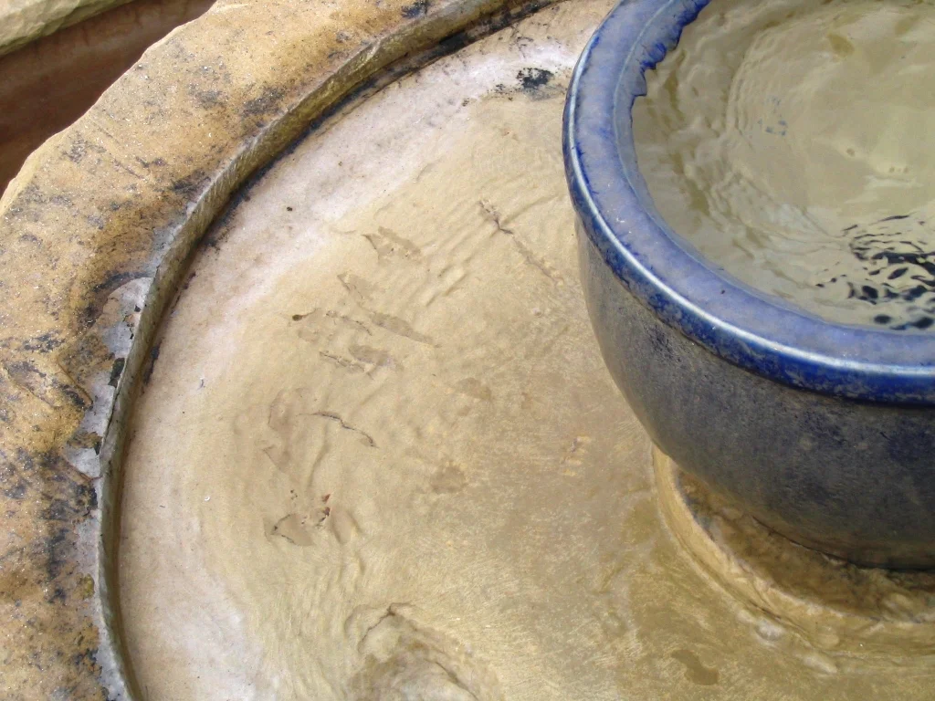 In arid regions, fountains, like this one at Pacifica Graduate Institute in California, may embody associations with peace and refreshment that make them potential sources of water for blessing.