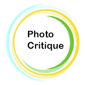 Photo Critique Meeting