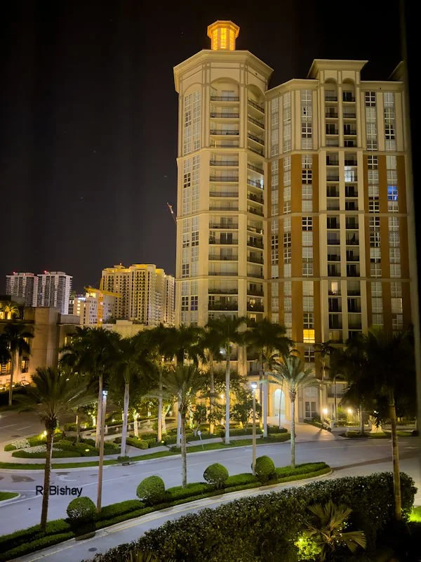 Bishay-003.jpg