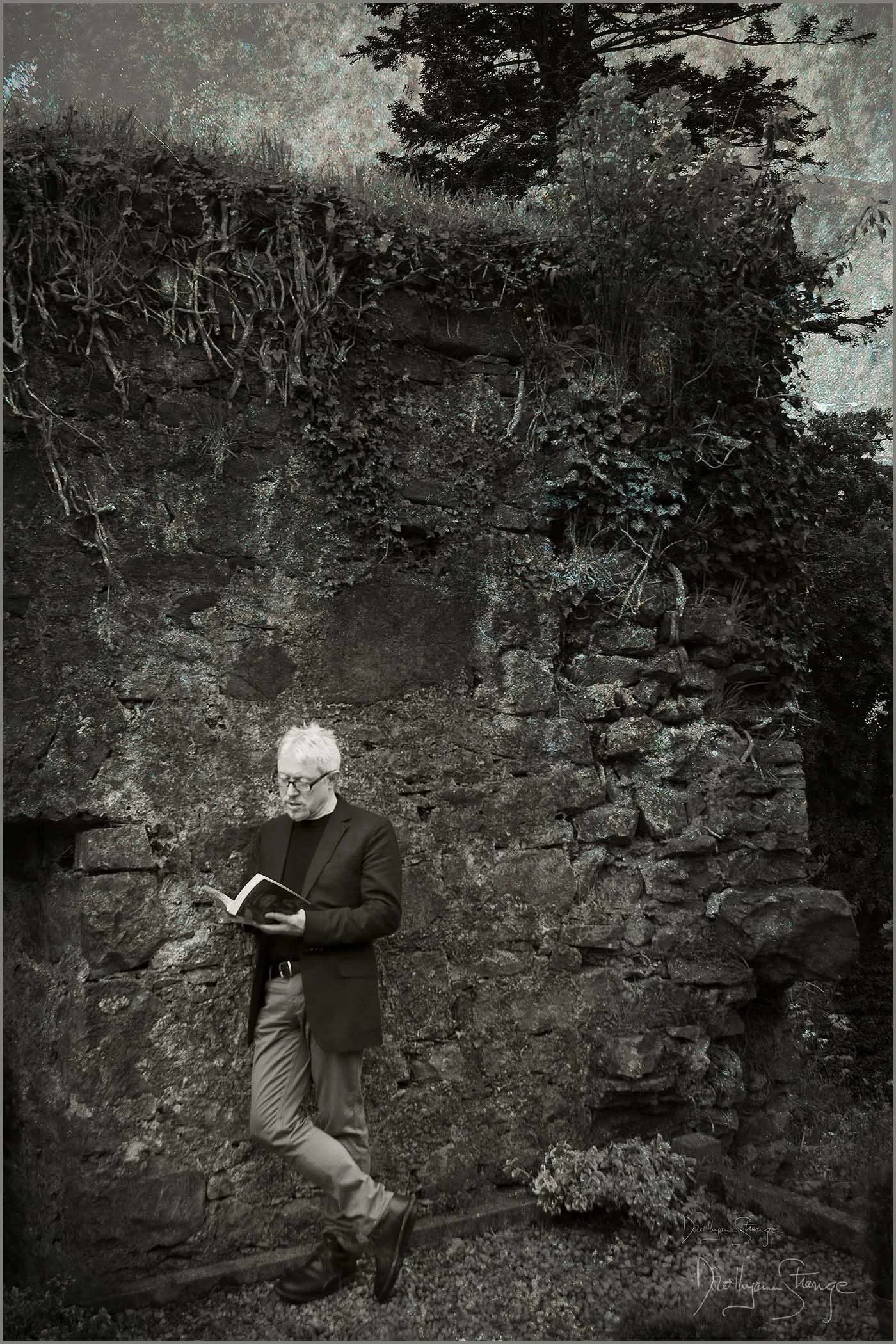 Strange3-IrishPoet.jpg