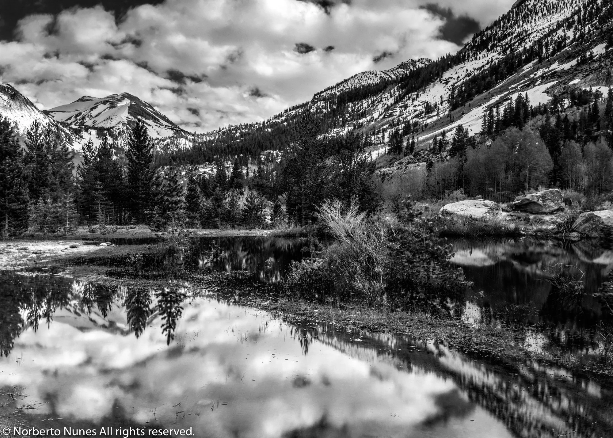 Norberto Nunes DSC_0550+(Corrected)+(Puddle+Reflection+HDR+Final+B_W)BPC+Gallery.jpg