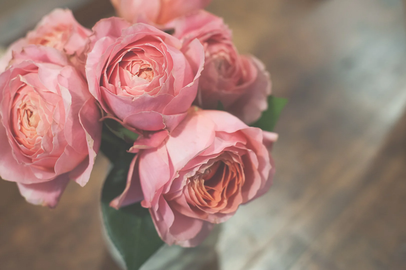 Found these beauties waiting for me when I came home from a long work trip last week. Are they a peony or a rose or a combo? Anyone know? 