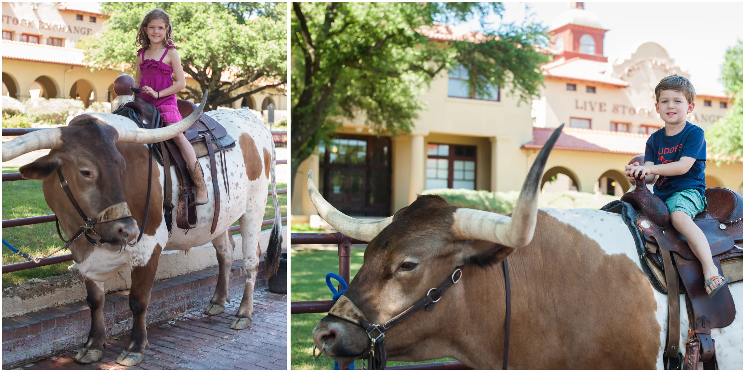 More from our Stockyards adventure.