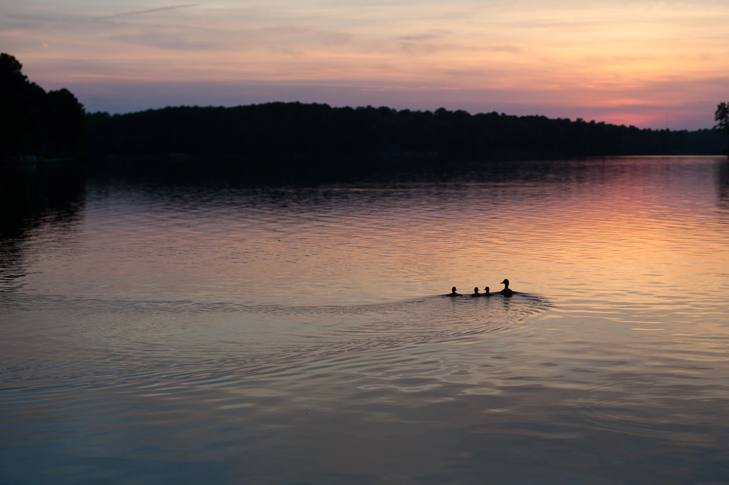 2013.06 Lake Oconee Selects-58.jpg