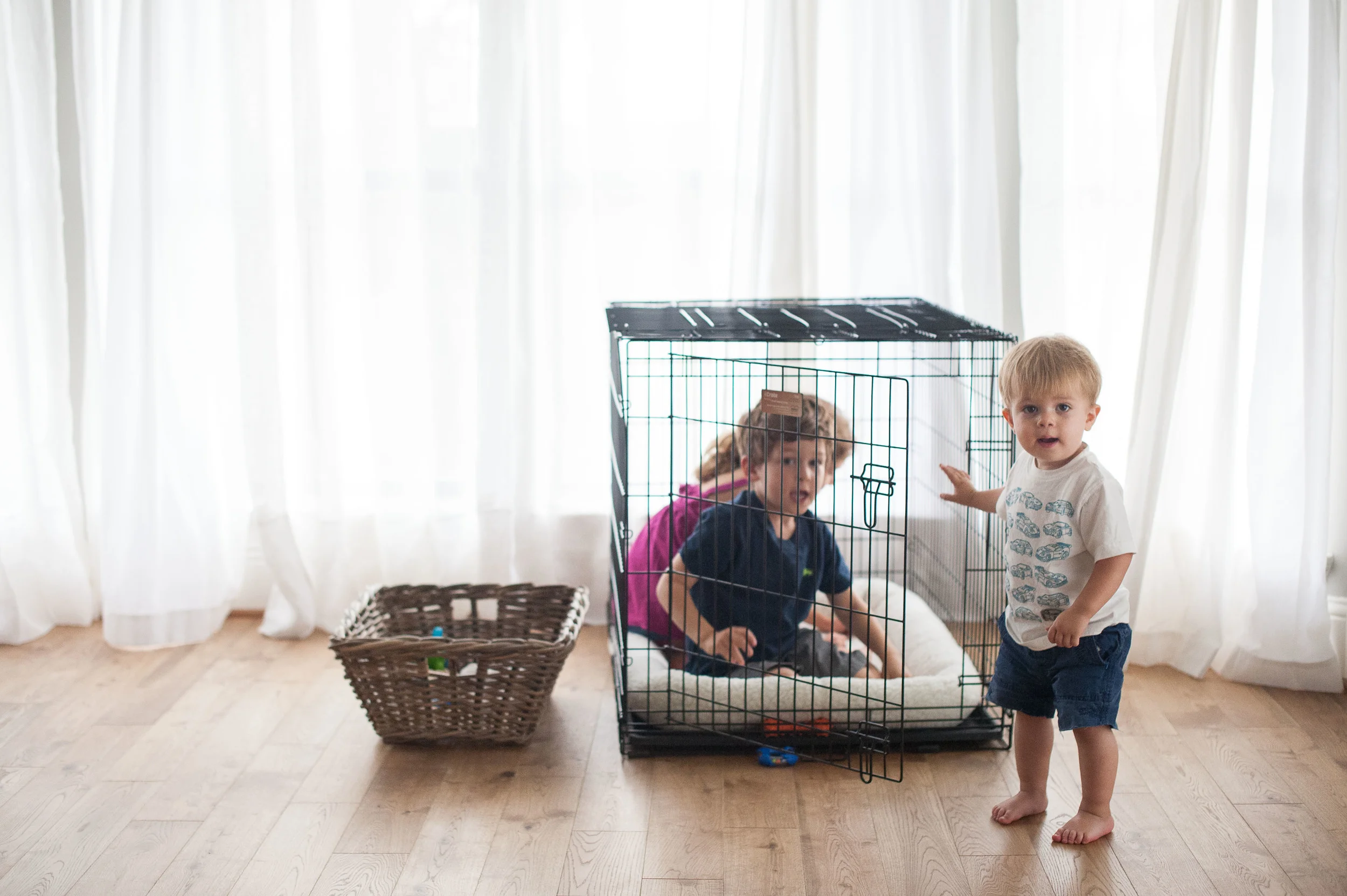 Brisket-frenzy was reaching a fever pitch the day before he came home. His bed was tested and re-tested for quality assurance with the utmost rigor.