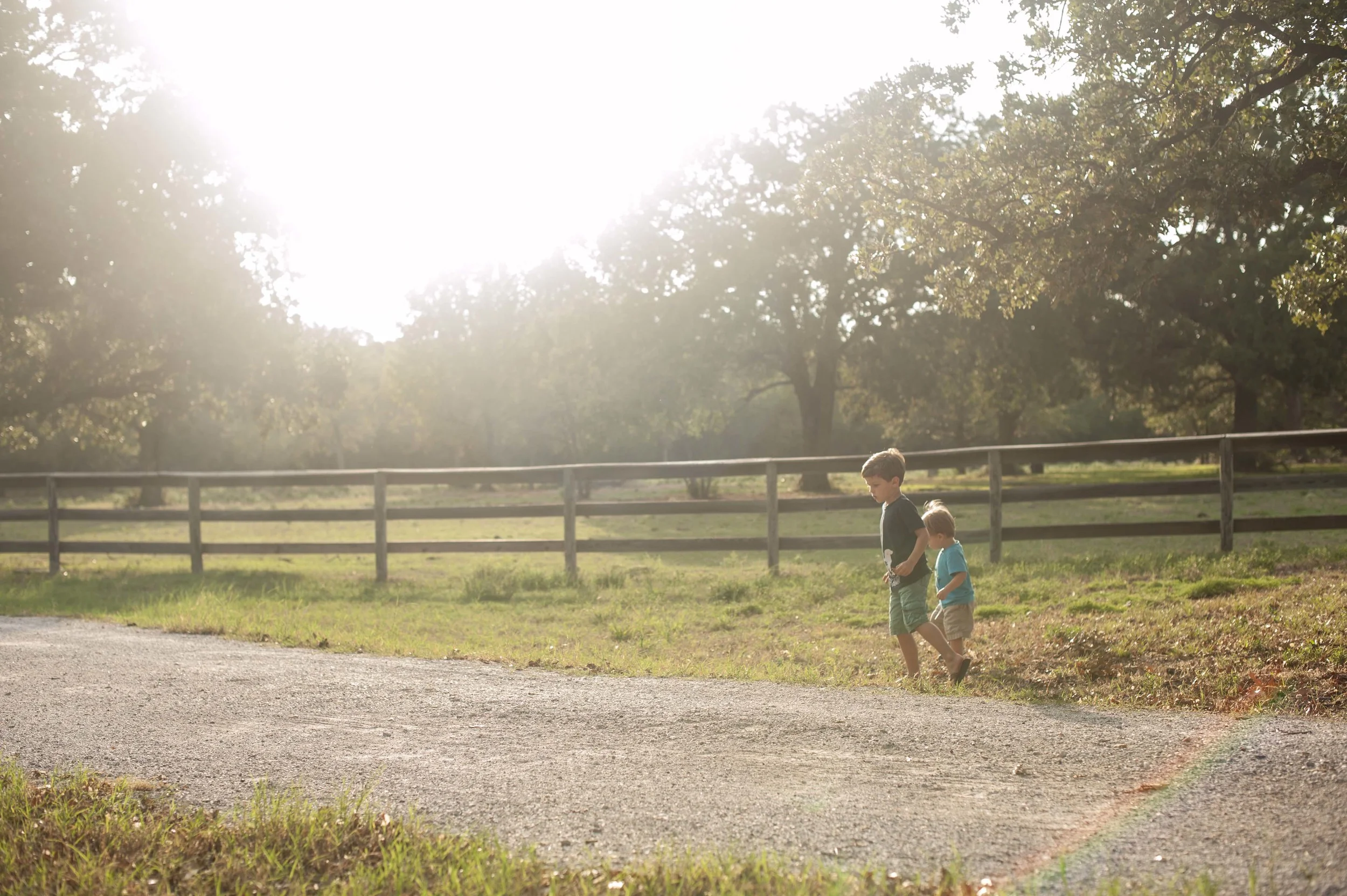 Grasshopper Hunting