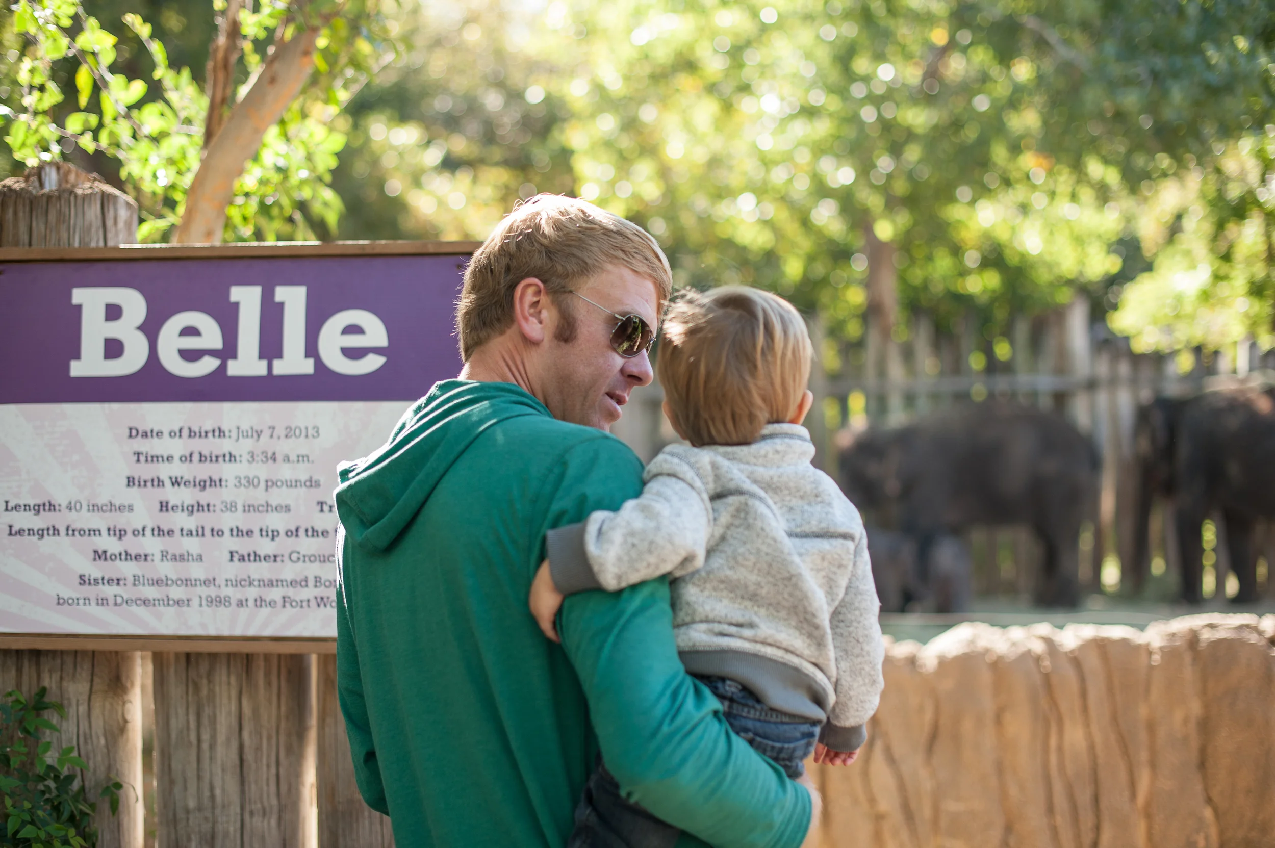 Checking out the baby elephants at the Fort Worth Zoo. 