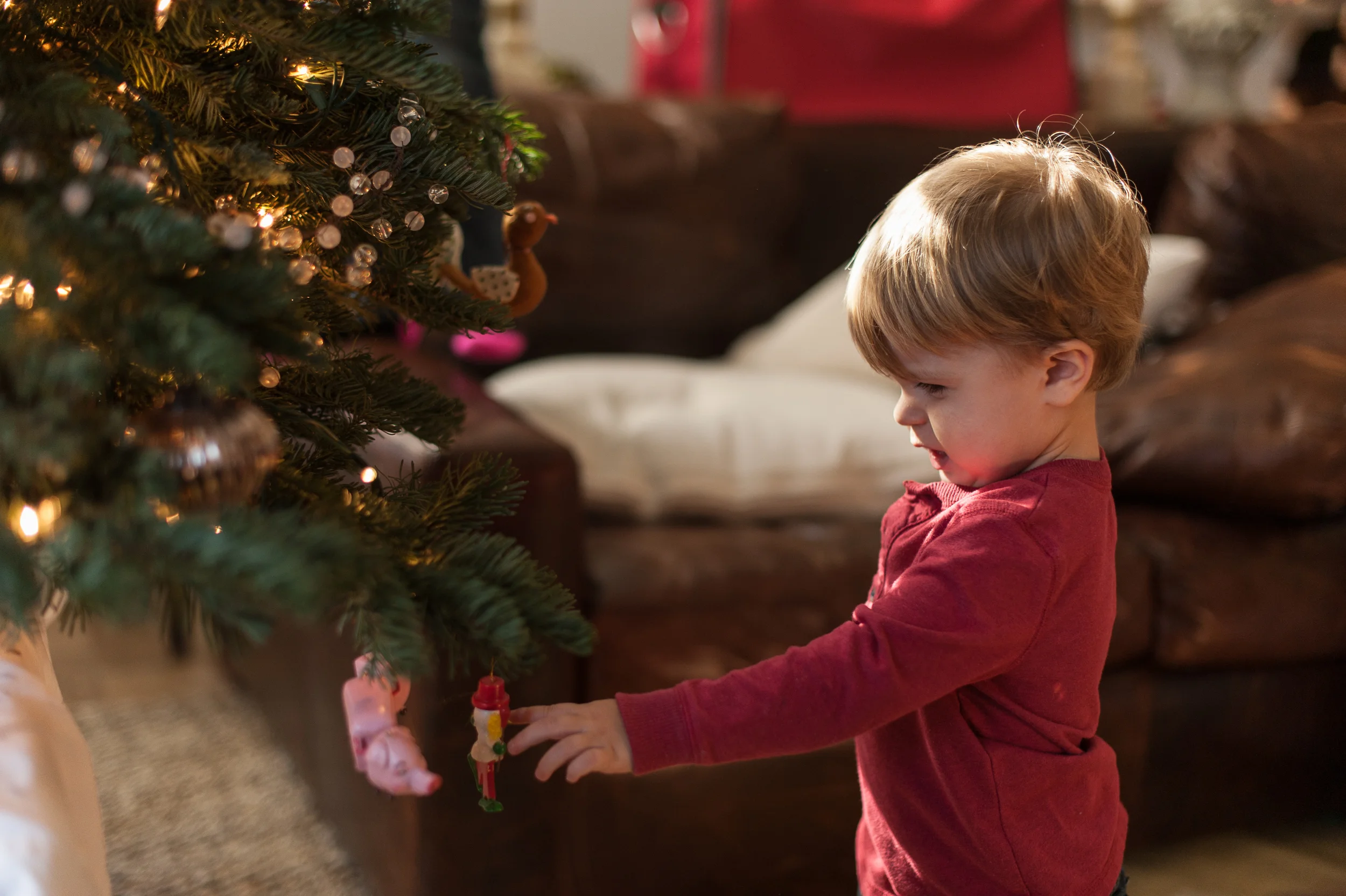 It was past his naptime but I couldn't take him upstairs. No one wants to miss their first tree-decorating. 