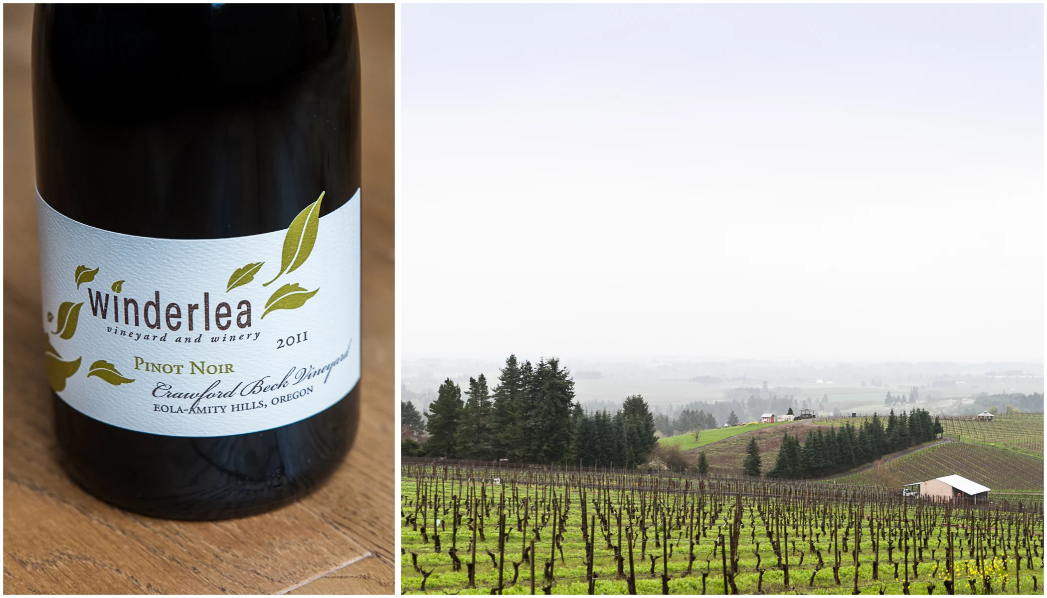 My favorite, by far, was a single-vineyard Pinot Noir from Crawford Beck in the Eola-Amity Hills region. 