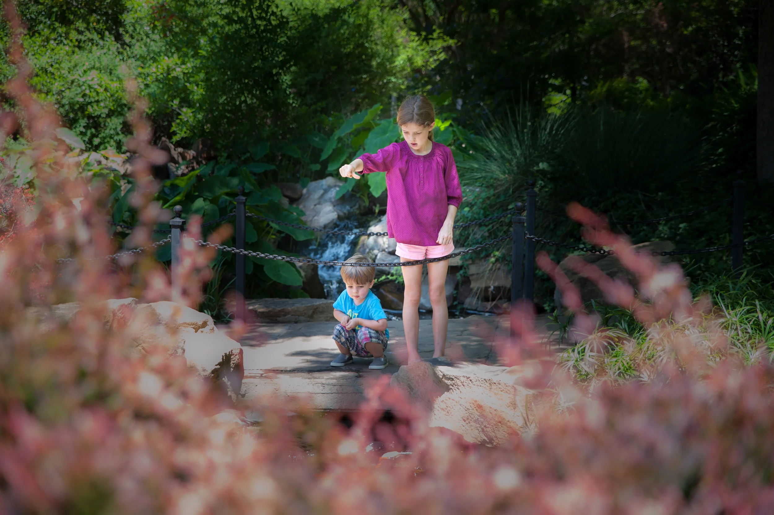 After the train ride, we picked up a picnic lunch at Eatzi's and went to the Grapevine Botanical Gardens to lay in the grass, play at Heritage Park and feed the coy pond residents. 
