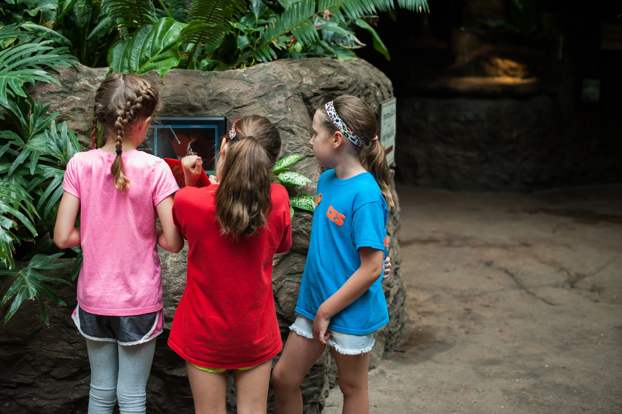 All of the kids were assigned five animals to find and gather facts on during our visit. It only took about 30 minutes before we were all cheating (capitalizing on our available resources?) and Googling Mot-Mot. 
