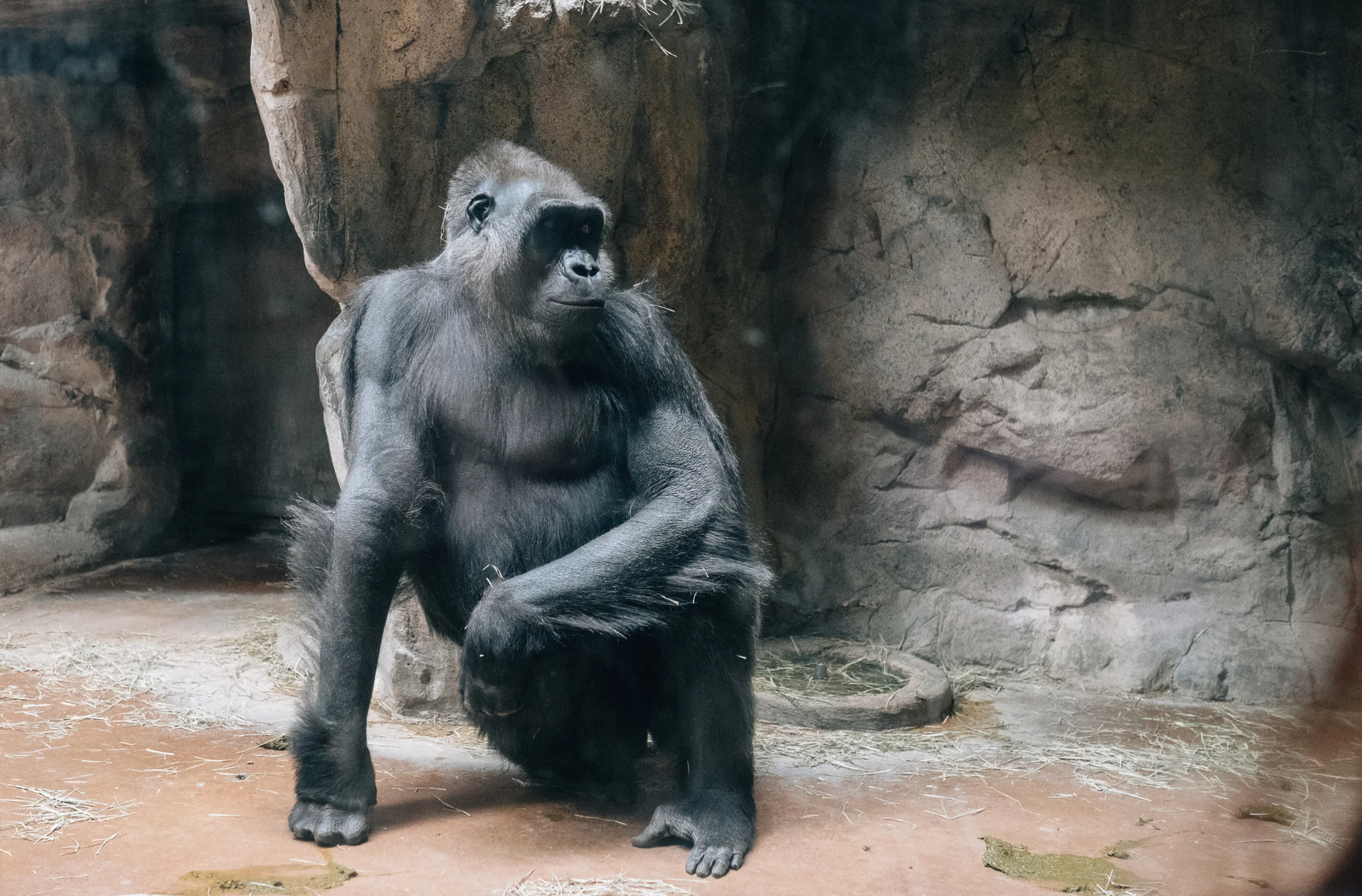 Something tells me this guy's had practice posing.